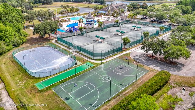 4217 Fishermans Lake Drive, Lutz, FL 33558