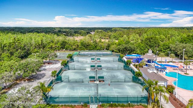 4217 Fishermans Lake Drive, Lutz, FL 33558