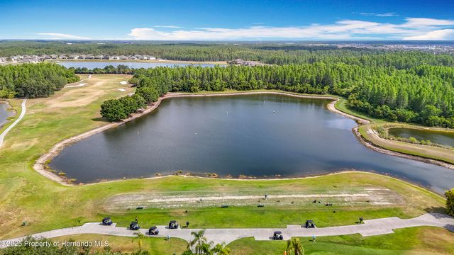 4217 Fishermans Lake Drive, Lutz, FL 33558