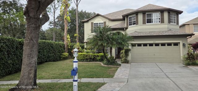 4217 Fishermans Lake Drive, Lutz, FL 33558