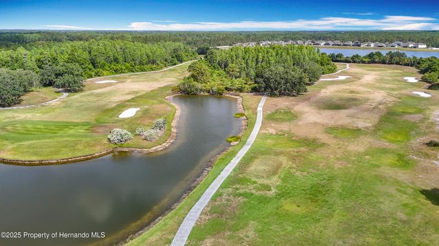 4217 Fishermans Lake Drive, Lutz, FL 33558