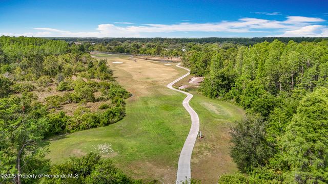 4217 Fishermans Lake Drive, Lutz, FL 33558