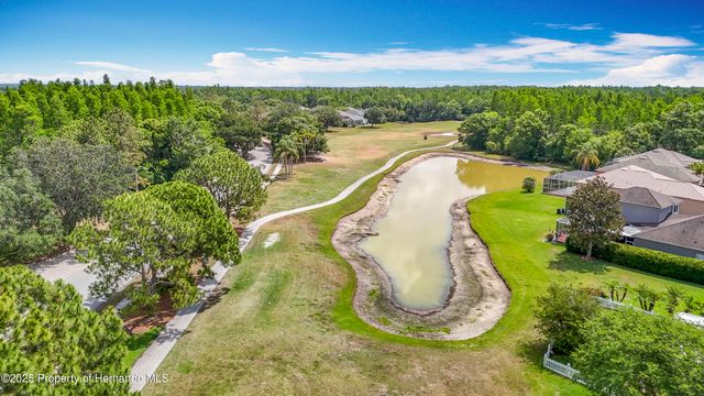 4217 Fishermans Lake Drive, Lutz, FL 33558