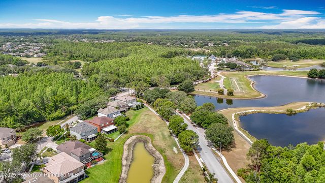 4217 Fishermans Lake Drive, Lutz, FL 33558