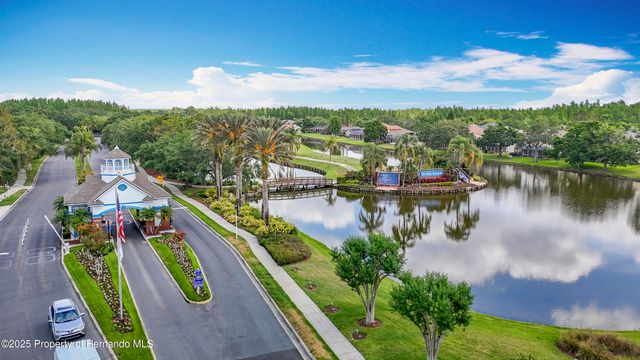 4217 Fishermans Lake Drive, Lutz, FL 33558