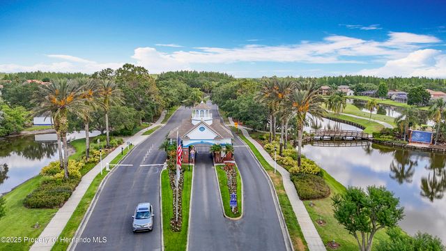 4217 Fishermans Lake Drive, Lutz, FL 33558