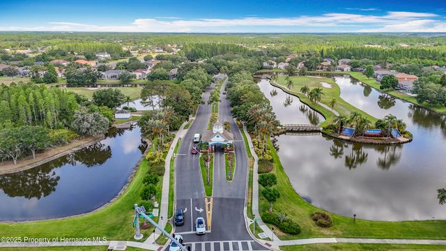 4217 Fishermans Lake Drive, Lutz, FL 33558