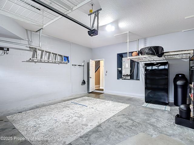 4217 Fishermans Lake Drive, Lutz, FL 33558