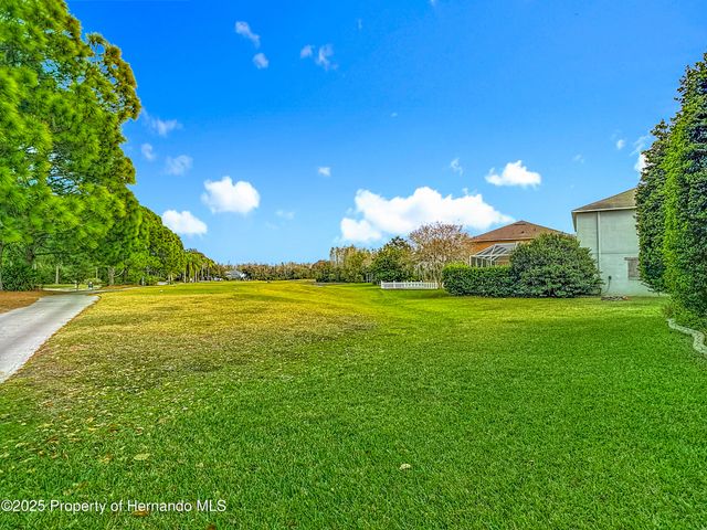 4217 Fishermans Lake Drive, Lutz, FL 33558