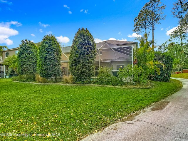 4217 Fishermans Lake Drive, Lutz, FL 33558