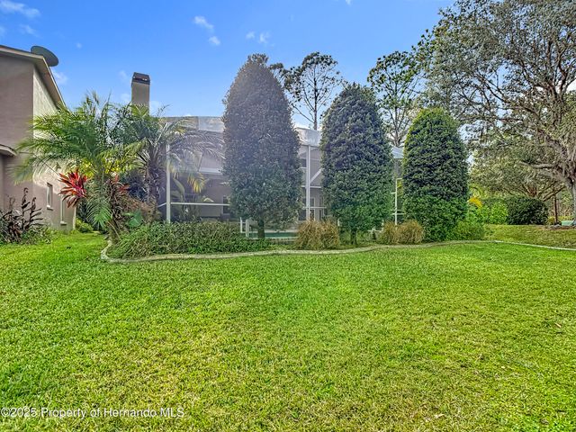 4217 Fishermans Lake Drive, Lutz, FL 33558