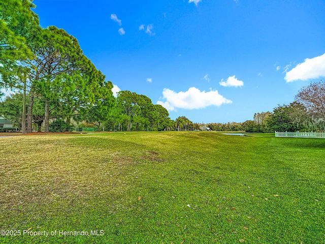 4217 Fishermans Lake Drive, Lutz, FL 33558