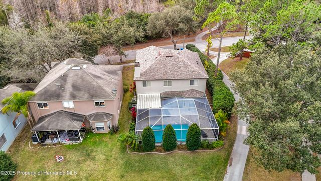 4217 Fishermans Lake Drive, Lutz, FL 33558