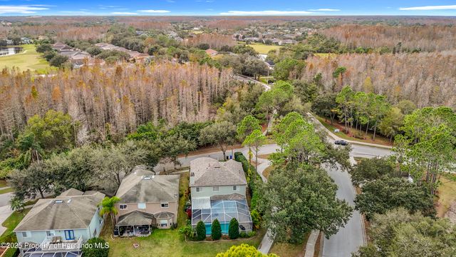 4217 Fishermans Lake Drive, Lutz, FL 33558