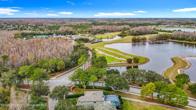 4217 Fishermans Lake Drive, Lutz, FL 33558