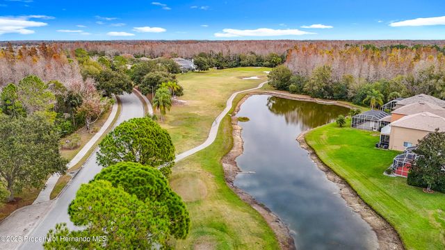 4217 Fishermans Lake Drive, Lutz, FL 33558