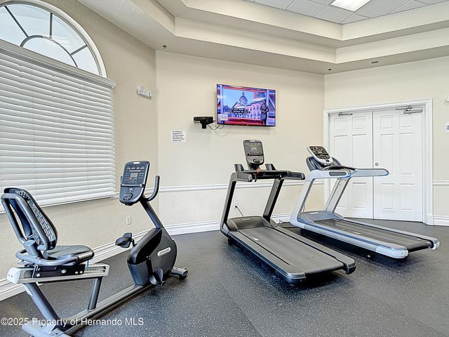 4217 Fishermans Lake Drive, Lutz, FL 33558