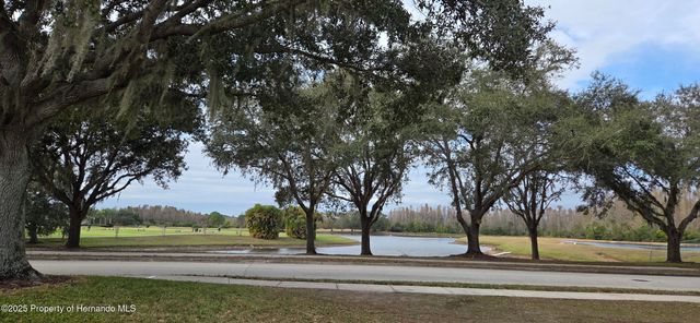 4217 Fishermans Lake Drive, Lutz, FL 33558