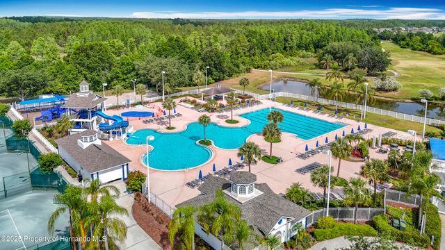 4217 Fishermans Lake Drive, Lutz, FL 33558