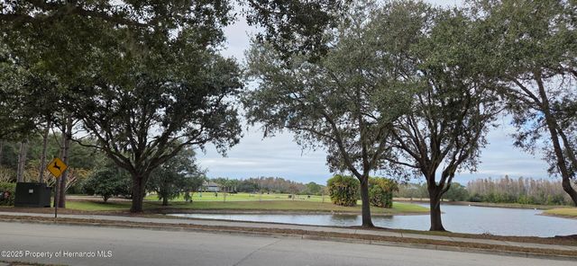 4217 Fishermans Lake Drive, Lutz, FL 33558