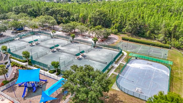 4217 Fishermans Lake Drive, Lutz, FL 33558