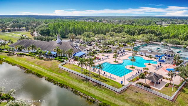 4217 Fishermans Lake Drive, Lutz, FL 33558