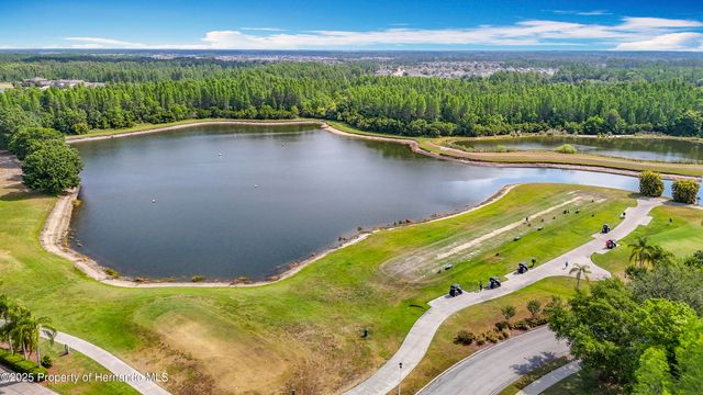 4217 Fishermans Lake Drive, Lutz, FL 33558