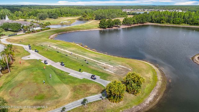 4217 Fishermans Lake Drive, Lutz, FL 33558