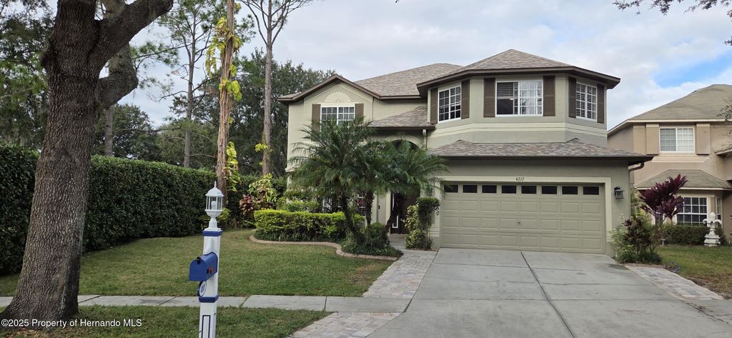 4217 Fishermans Lake Drive, Lutz, FL 33558