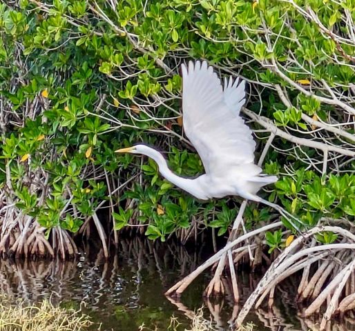 4306 SW 3RD AVENUE, Cape Coral, FL 33914