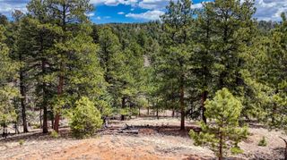 16 View Circle, Florissant, CO 80816