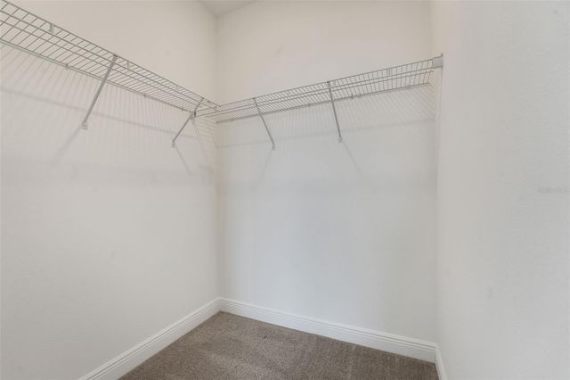 5025 FLAMELEAF STREET, Apopka, FL 32712