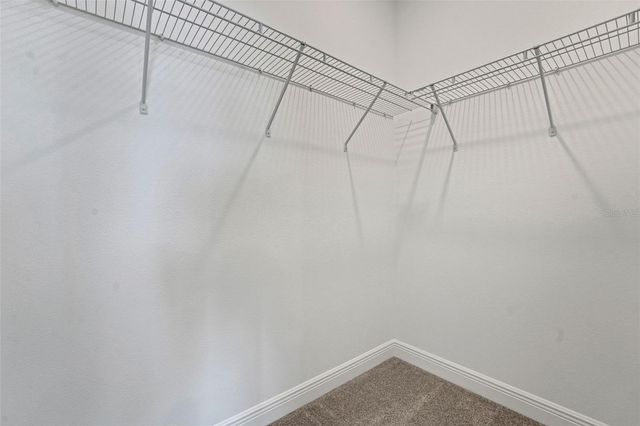 5025 FLAMELEAF STREET, Apopka, FL 32712