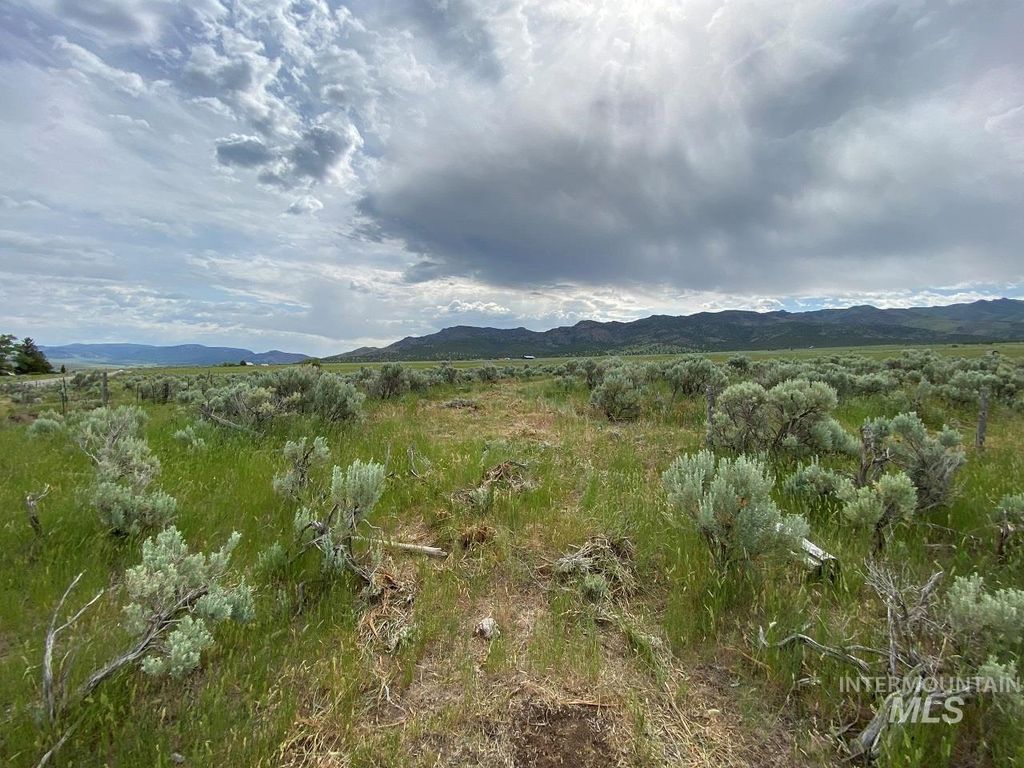 1977 S Elba Almo Road, Elba, ID 83342 photo 3