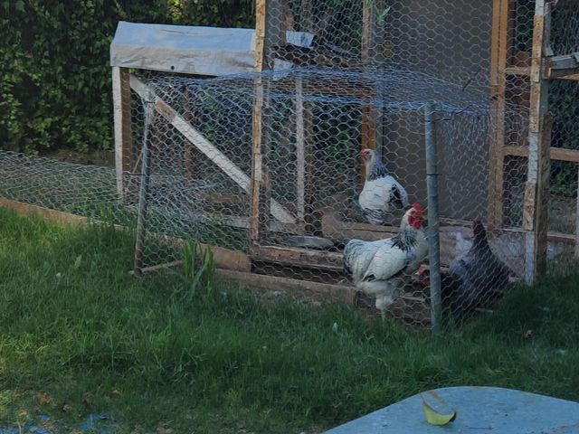 2576 W Hillside Drive, Anderson, CA 96007