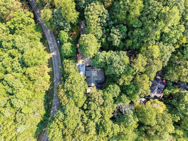 8296 True Love Mountain Road, Young Harris, GA 30582