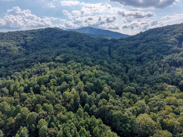 8296 True Love Mountain Road, Young Harris, GA 30582