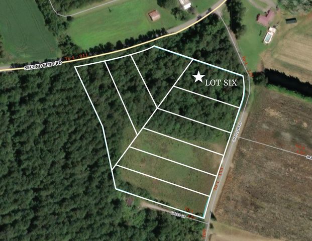Lot 6 Dantzler Road, Harleyville, SC 29448