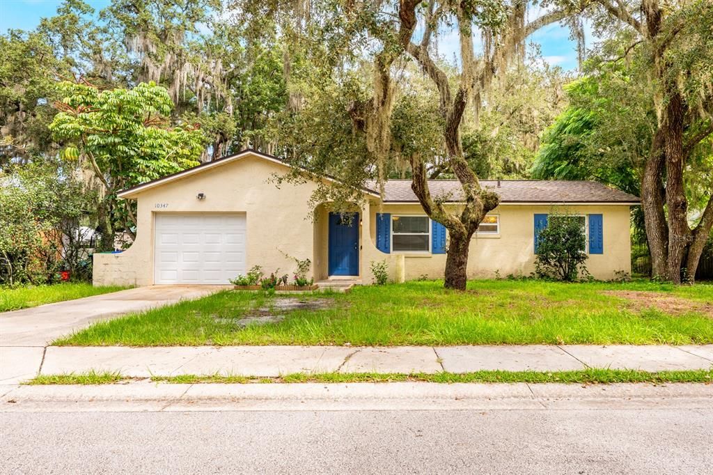 10347 SMYRNA DRIVE, Orlando, FL 32817