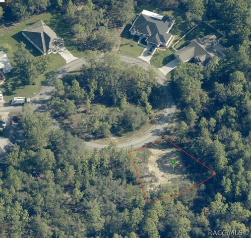 9 Hackberry Court S, Homosassa, FL 34446