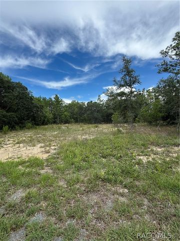9 Hackberry Court S, Homosassa, FL 34446