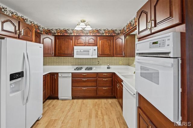125 E Shore Drive, Belleville, IL 62221