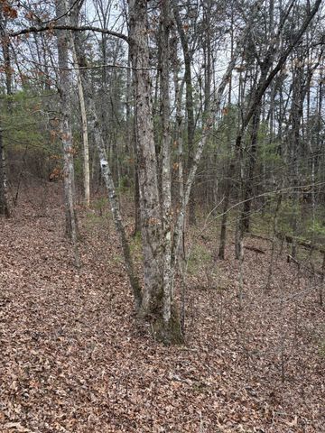 0 Maple Springs Road, Tellico Plains, TN 37385