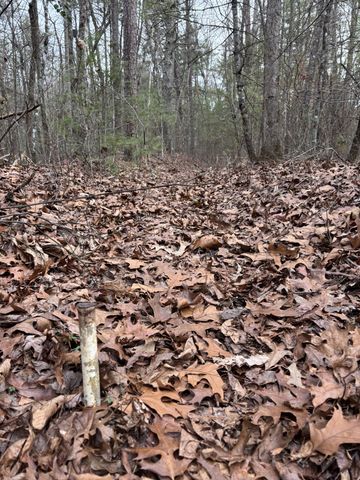 0 Maple Springs Road, Tellico Plains, TN 37385