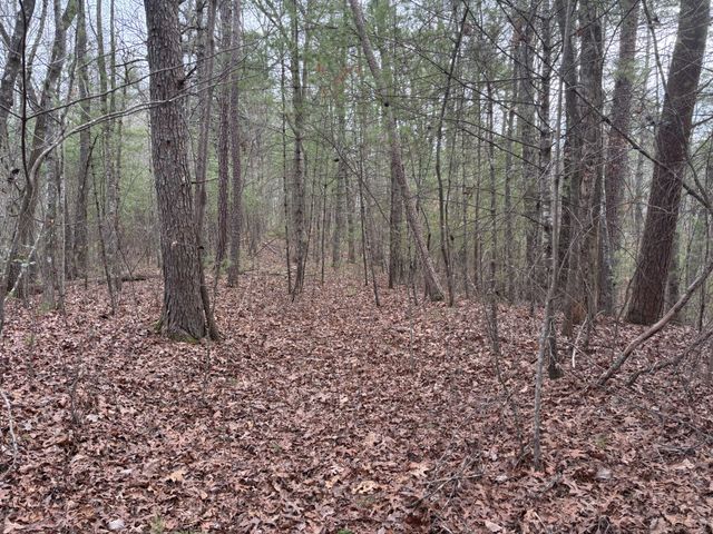 0 Maple Springs Road, Tellico Plains, TN 37385