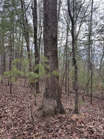 0 Maple Springs Road, Tellico Plains, TN 37385