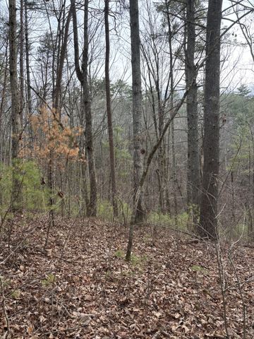 0 Maple Springs Road, Tellico Plains, TN 37385