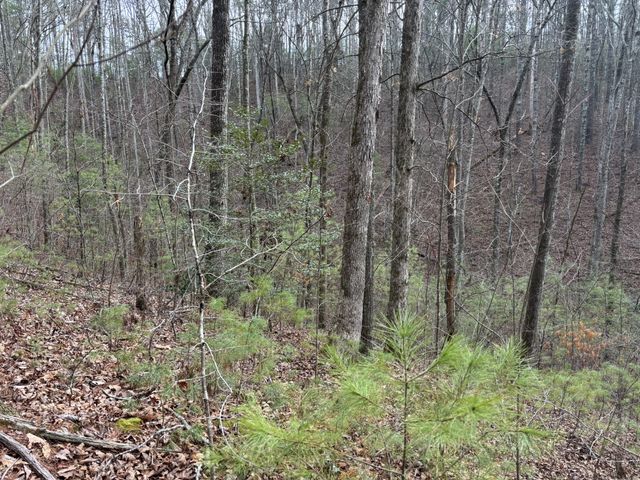 0 Maple Springs Road, Tellico Plains, TN 37385
