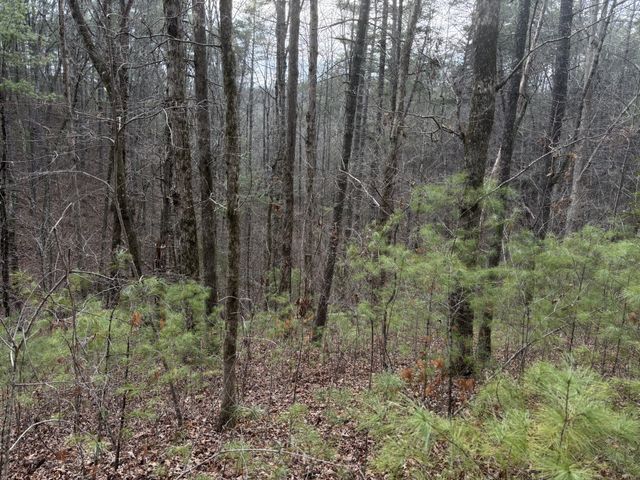 0 Maple Springs Road, Tellico Plains, TN 37385