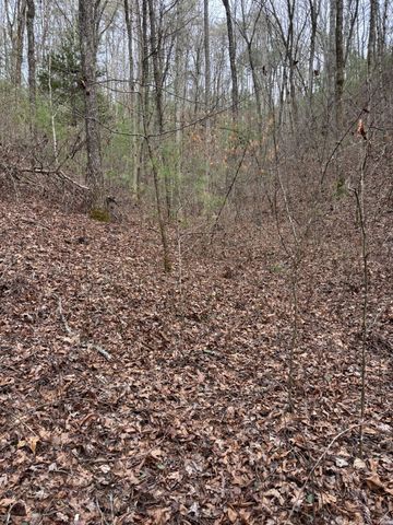 0 Maple Springs Road, Tellico Plains, TN 37385